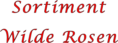 Sortiment  Wilde Rosen