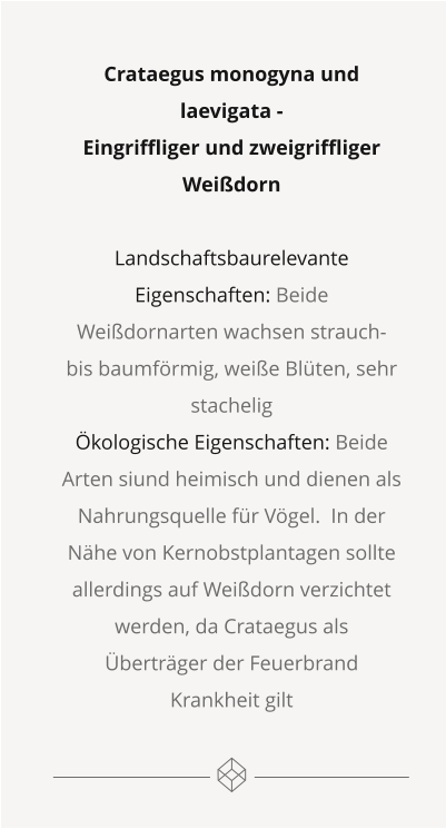 Crataegus monogyna und laevigata -  Eingriffliger und zweigriffliger Weißdorn  Landschaftsbaurelevante Eigenschaften: Beide Weißdornarten wachsen strauch- bis baumförmig, weiße Blüten, sehr stachelig Ökologische Eigenschaften: Beide Arten siund heimisch und dienen als Nahrungsquelle für Vögel.  In der Nähe von Kernobstplantagen sollte allerdings auf Weißdorn verzichtet werden, da Crataegus als Überträger der Feuerbrand Krankheit gilt