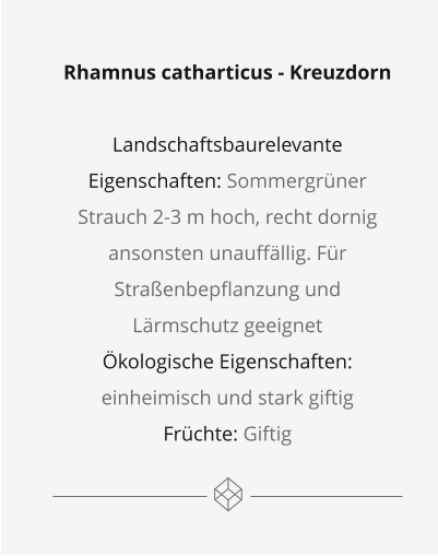 Rhamnus catharticus - Kreuzdorn  Landschaftsbaurelevante Eigenschaften: Sommergrüner Strauch 2-3 m hoch, recht dornig ansonsten unauffällig. Für Straßenbepflanzung und Lärmschutz geeignet Ökologische Eigenschaften: einheimisch und stark giftig Früchte: Giftig