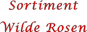 Sortiment  Wilde Rosen